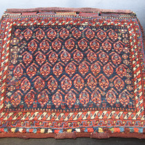 Image of A Pair of Luri Bagfaces
